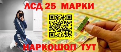 спиды Гатчина