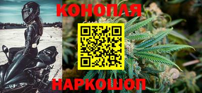 спиды Гатчина