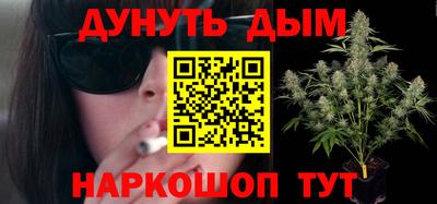 спиды Гатчина