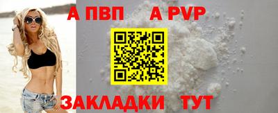 спиды Гатчина